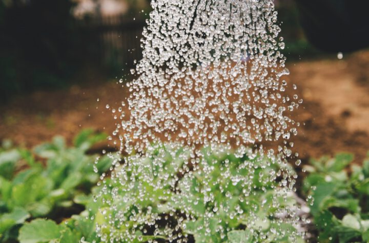 tuinberegening