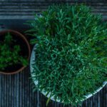 Hoe fleur je je tuin op?