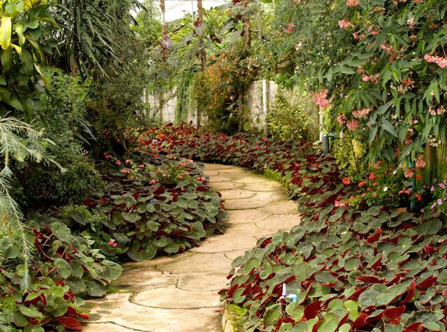 tuin bestraten