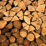 Tips voor het kiezen van de juiste houtsoort voor jouw klus